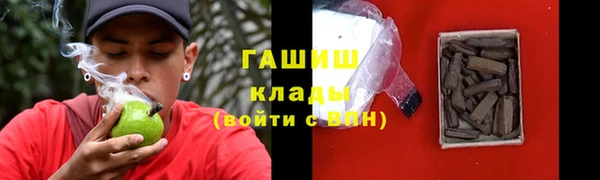 прущие грибы Волоколамск