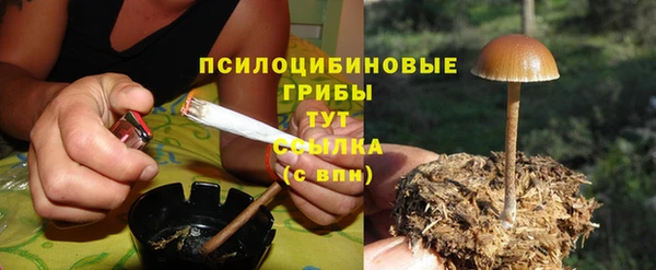 сатива Верхний Тагил