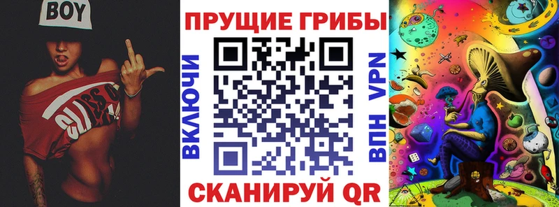 Псилоцибиновые грибы Cubensis  Карпинск 